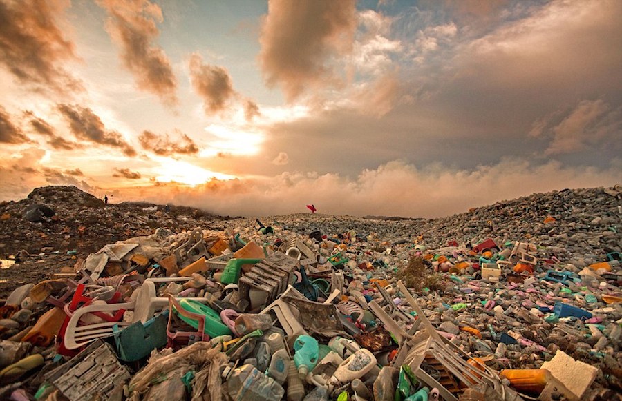 Грязная история: проблема мусора от древности до наших дней