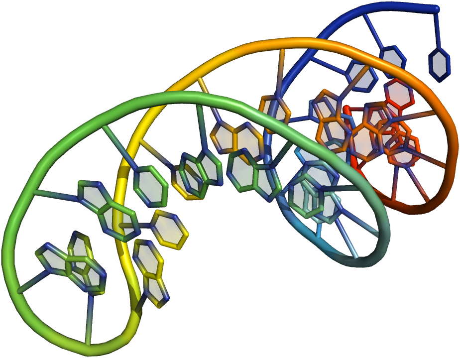 Плотно упакованный ДНК-фрагмент
