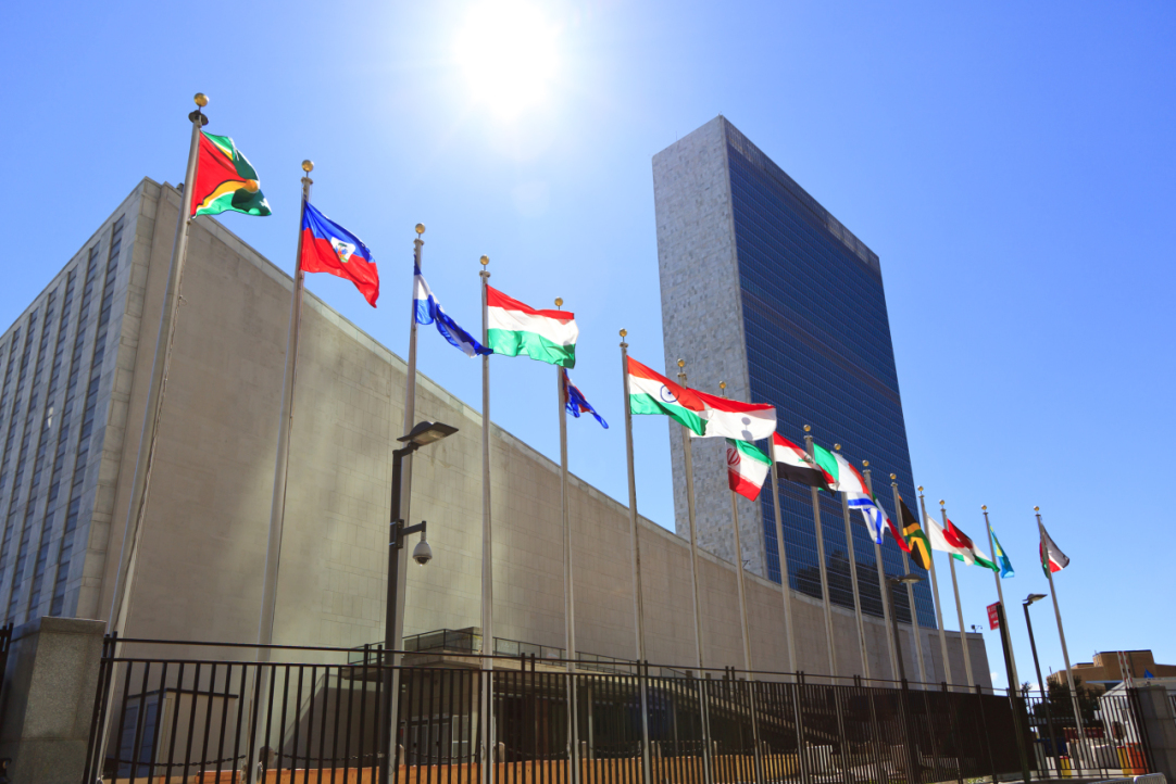 Иллюстрация к новости: Как построить карьеру в Организации Объединенных Наций?
