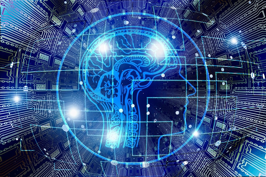 «Прикладной анализ и искусственный интеллект» – новая программа Питерской Вышки для будущих программистов