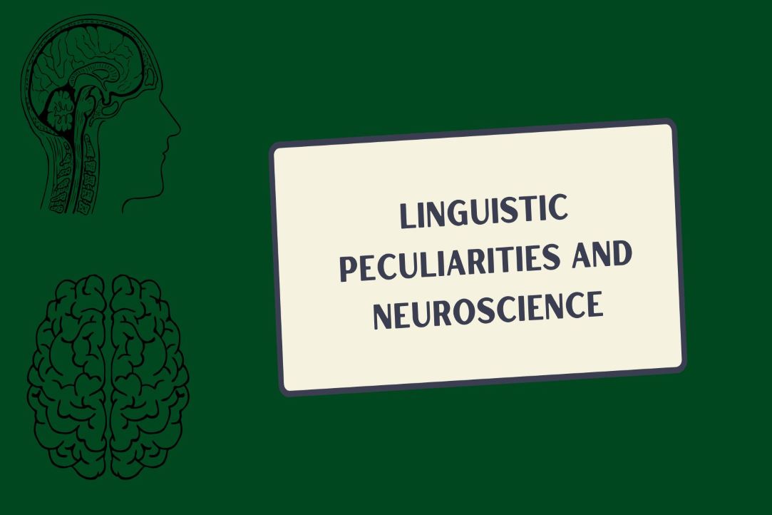 Linguistic peculiarities and neuroscience