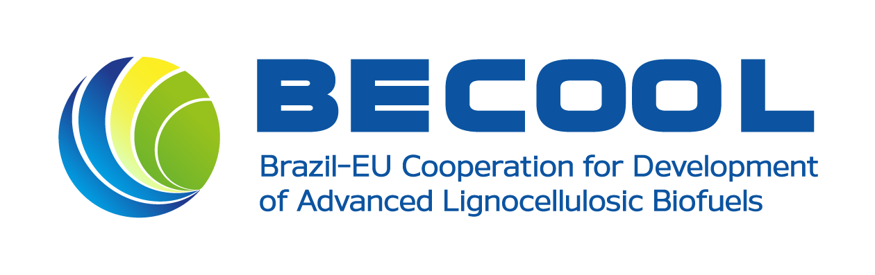 Один из совместных проектов ЕС и Бразилии – Be Cool